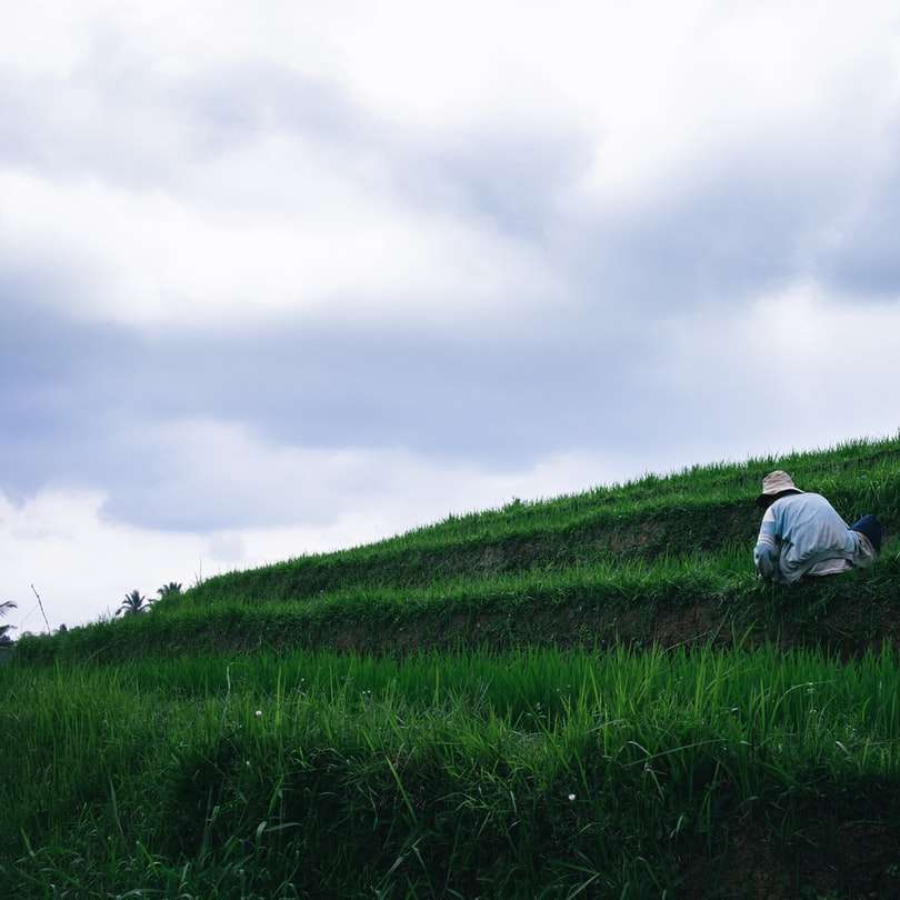 osoba w białej bluzie z kapturem siedzi na polu zielonej trawie puzzle przesuwne online