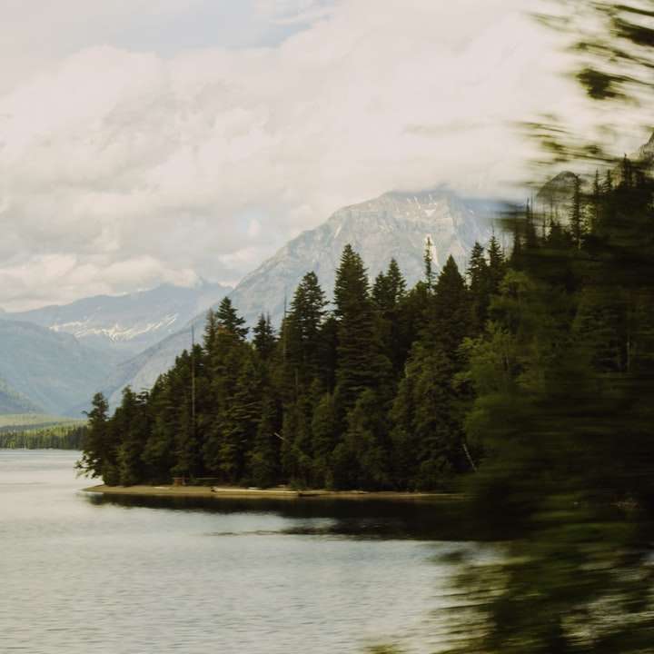 Pinos verdes cerca del lago bajo nubes blancas durante el día rompecabezas en línea