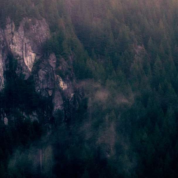 szaro-brązowa góra z zielonymi drzewami puzzle przesuwne online