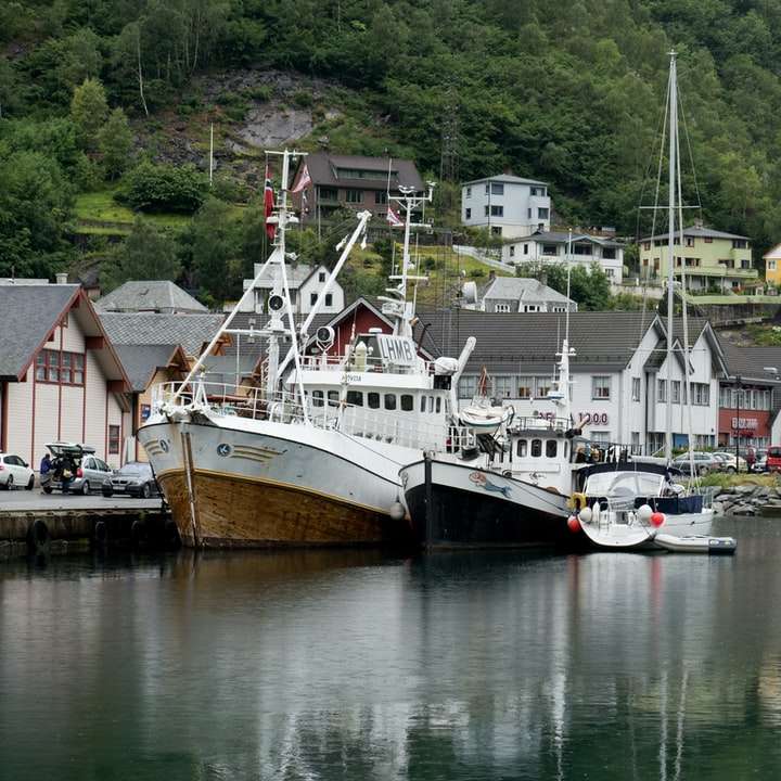 vit och brun båt på vatten Pussel online