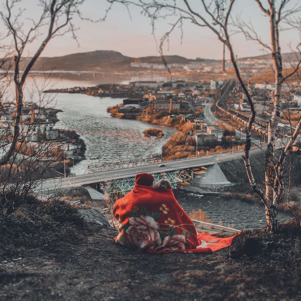 persona in felpa con cappuccio rossa seduta sulla roccia vicino al corpo d'acqua puzzle online
