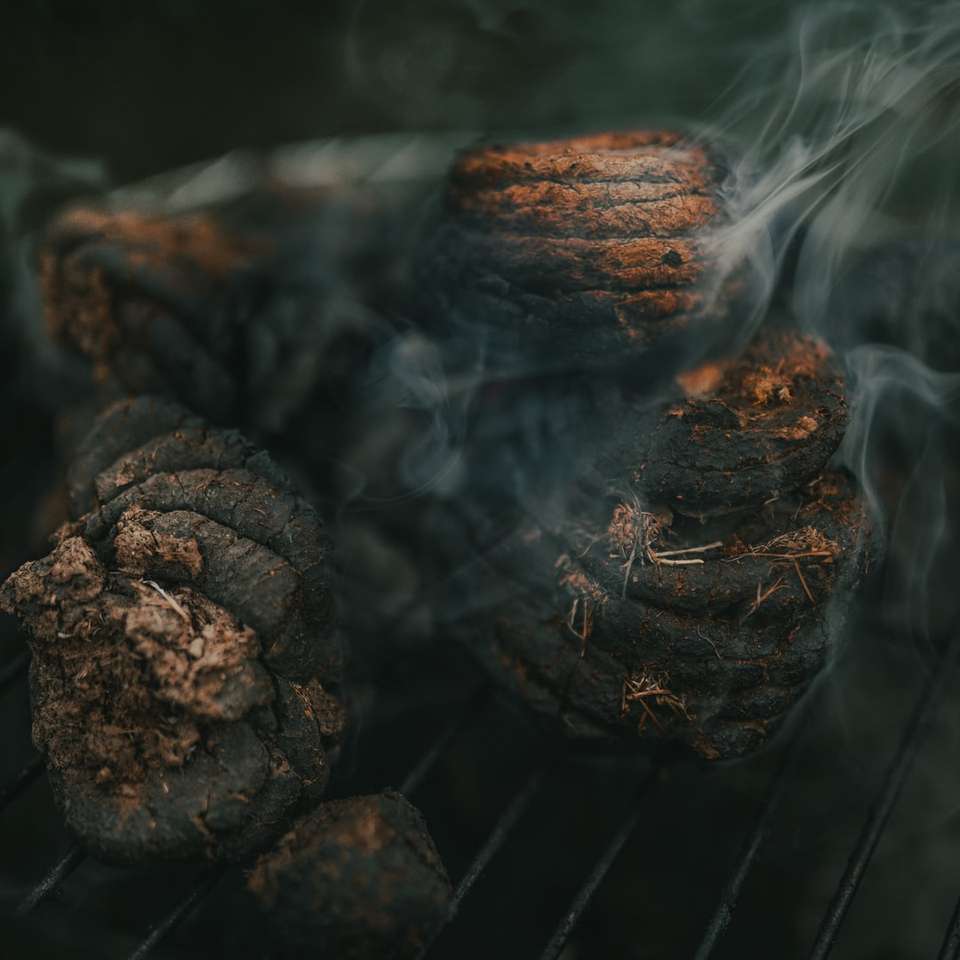 кафяви борови шишарки на скара с дървени въглища онлайн пъзел