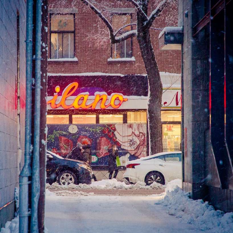 automobili coperte di neve parcheggiate accanto agli alberi spogli durante il giorno puzzle online