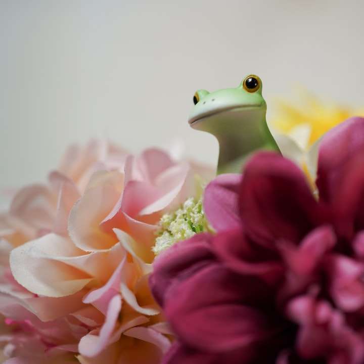 Figurilla de rana verde sobre flor rosa rompecabezas en línea