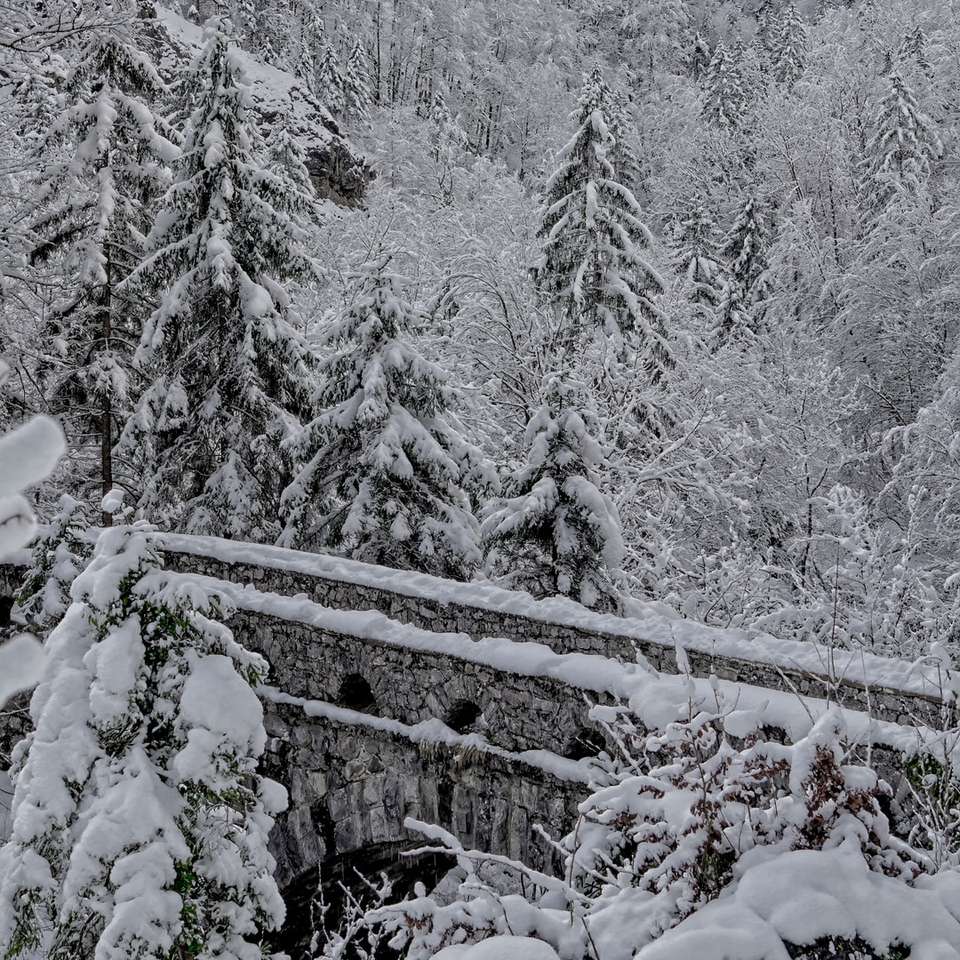 pinheiros cobertos de neve durante o dia puzzle online