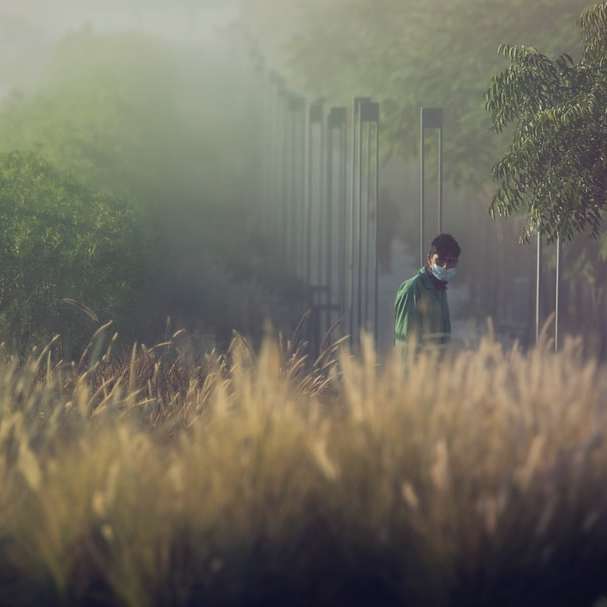 άντρας με πράσινο σακάκι περπάτημα στο πεδίο πράσινο γρασίδι συρόμενο παζλ online
