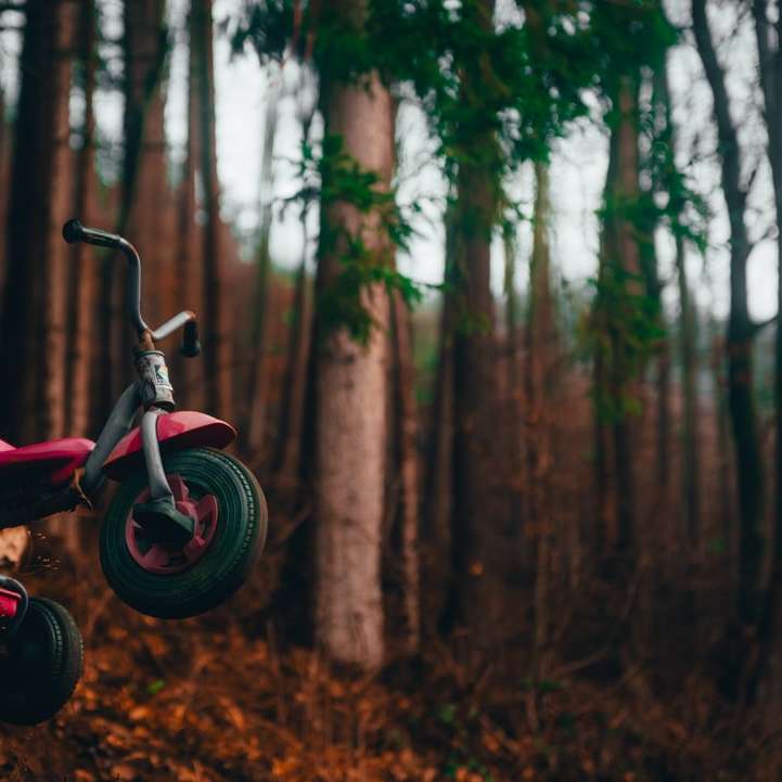czerwony i czarny rower w lesie puzzle online