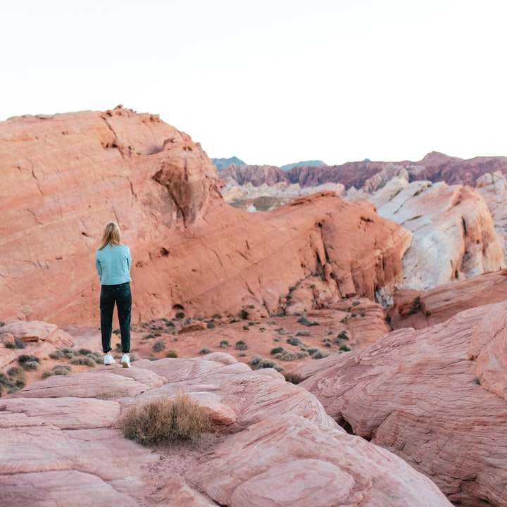 donna in giacca blu in piedi sulla formazione rocciosa marrone puzzle online