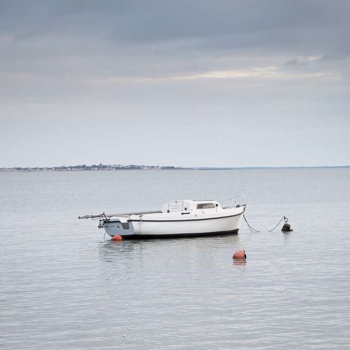 weißes Boot auf See unter weißem Himmel während des Tages Schiebepuzzle online