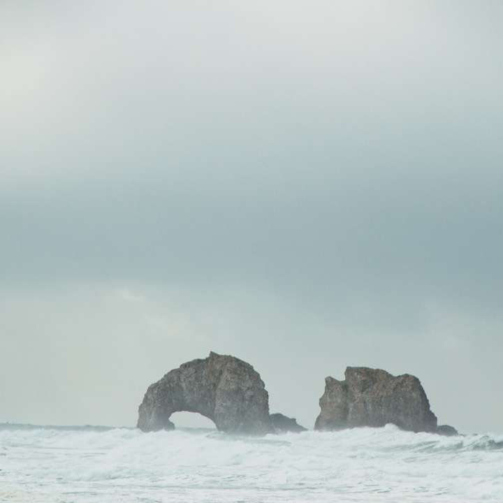 Formación de roca marrón en el mar durante el día rompecabezas en línea