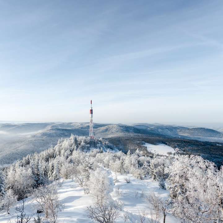 hóval borított fák és hegyek nappal online puzzle
