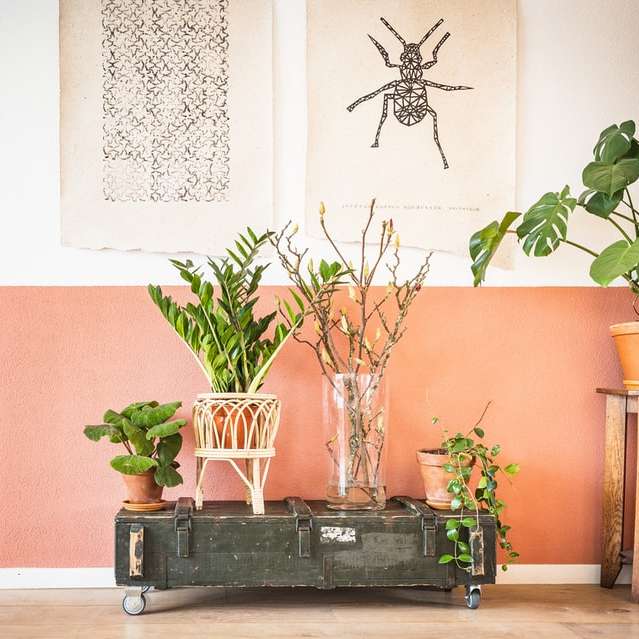plante en pot vert sur table en bois noir puzzle coulissant en ligne