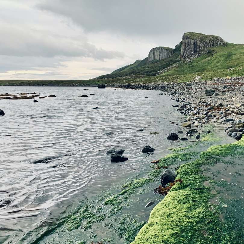 Colina cubierta de hierba verde junto al mar bajo un cielo blanco puzzle deslizante online