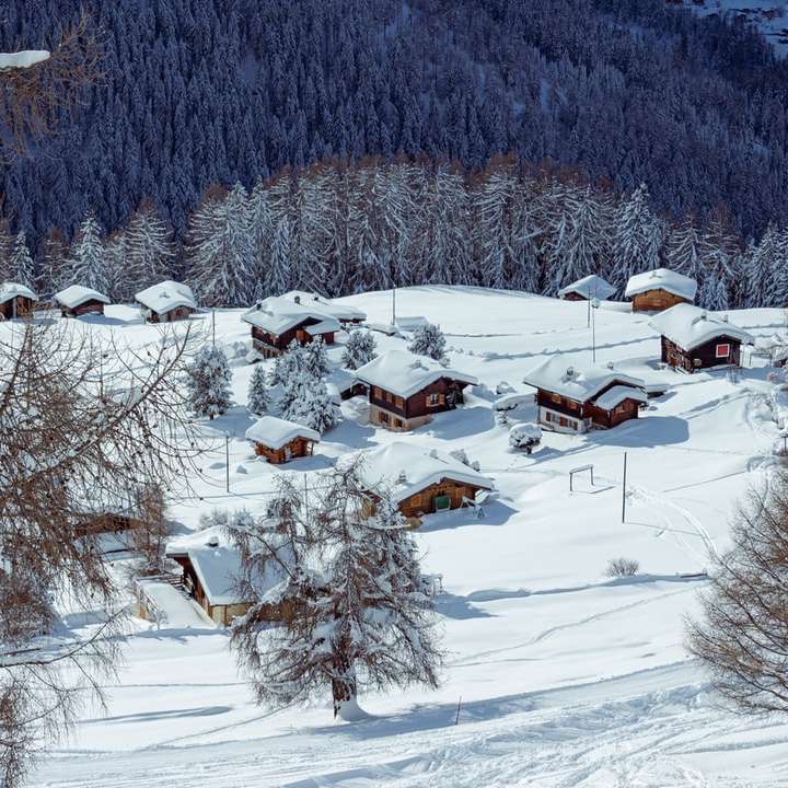 brązowy drewniany dom na ziemi pokrytej śniegiem w ciągu dnia puzzle przesuwne online