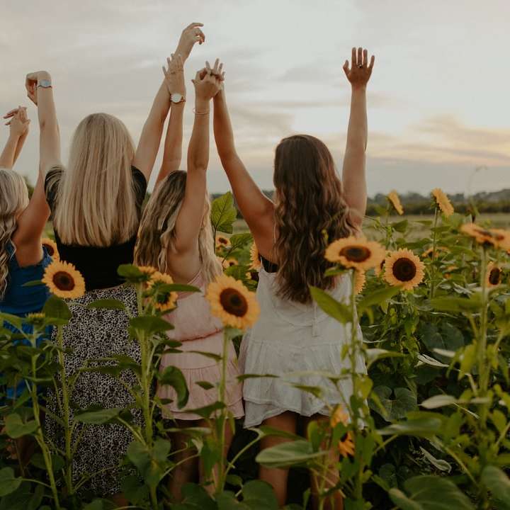 grup de oameni pe câmpul de floarea-soarelui în timpul zilei alunecare puzzle online