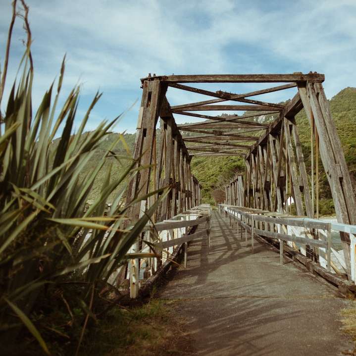 λευκή και καφέ γέφυρα πάνω από τον ποταμό συρόμενο παζλ online