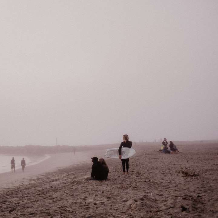 oameni care merg pe plajă în timpul zilei alunecare puzzle online