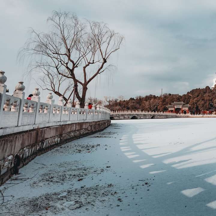 λευκή χιονισμένη γέφυρα πάνω από τον ποταμό online παζλ