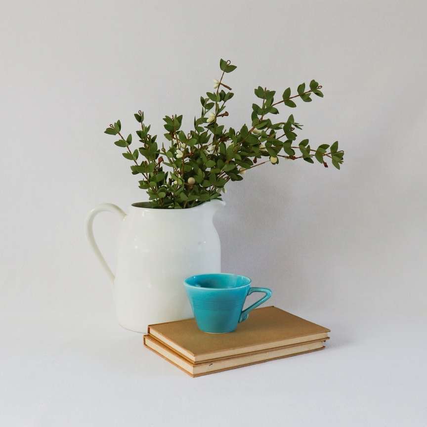 planta verde em caneca de cerâmica azul na base de madeira marrom puzzle online