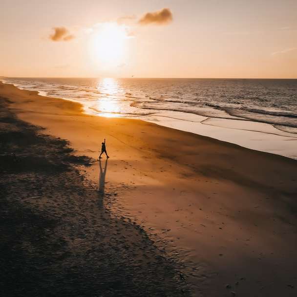 person som står på stranden under solnedgången Pussel online