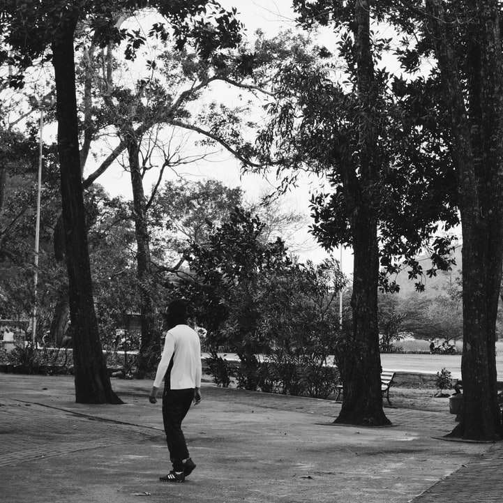 Hombre con camisa de vestir blanca y pantalón negro caminando en el parque rompecabezas en línea