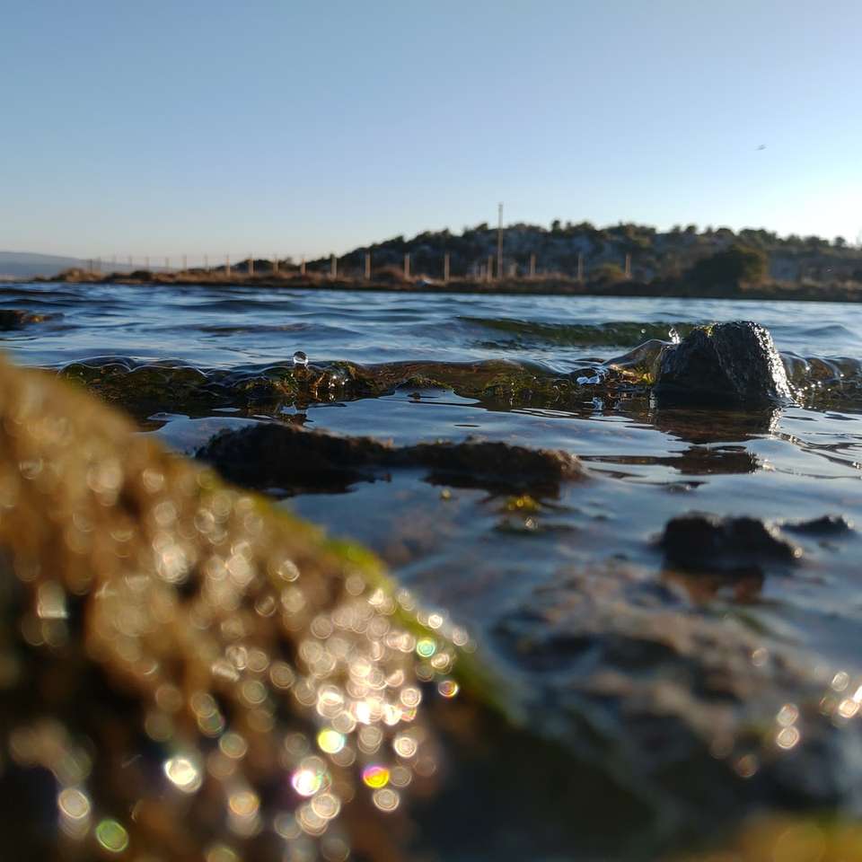 rotsachtige kust met groen mos en bomen in de verte schuifpuzzel online