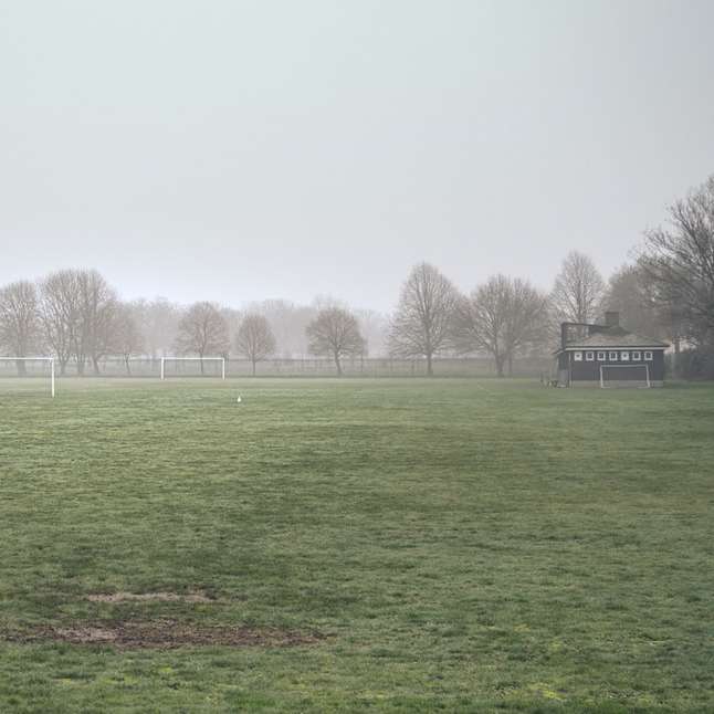 campo de grama verde com árvores nuas sob céu branco puzzle deslizante online
