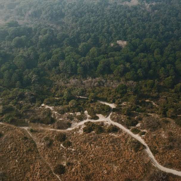 Flygfoto över gröna träd och brunt fält under dagtid Pussel online