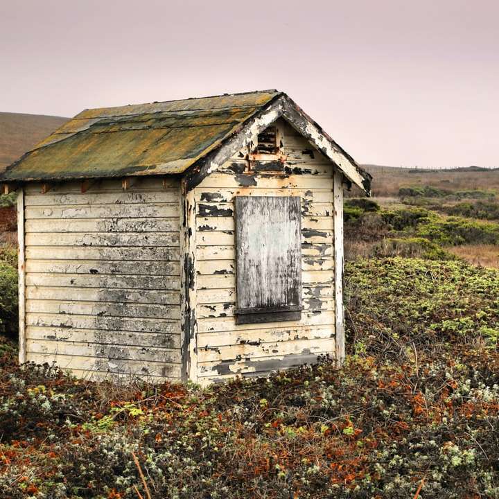 casa de madeira cinza em campo de grama verde sob céu branco puzzle online