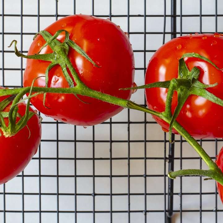 κόκκινη ντομάτα σε λευκό μεταλλικό σκελετό συρόμενο παζλ online