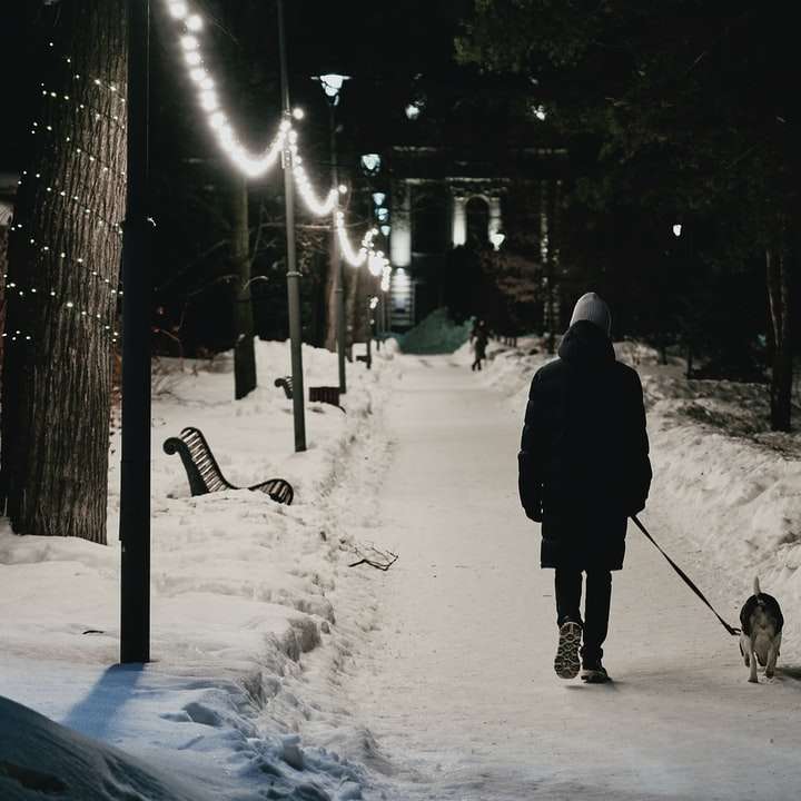 雪に覆われた地面を歩いている黒いコートを着た人 オンラインパズル