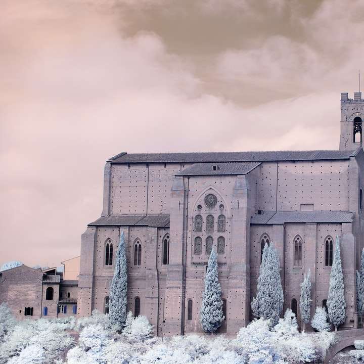 Edificio de hormigón marrón con árboles cubiertos de nieve puzzle deslizante online