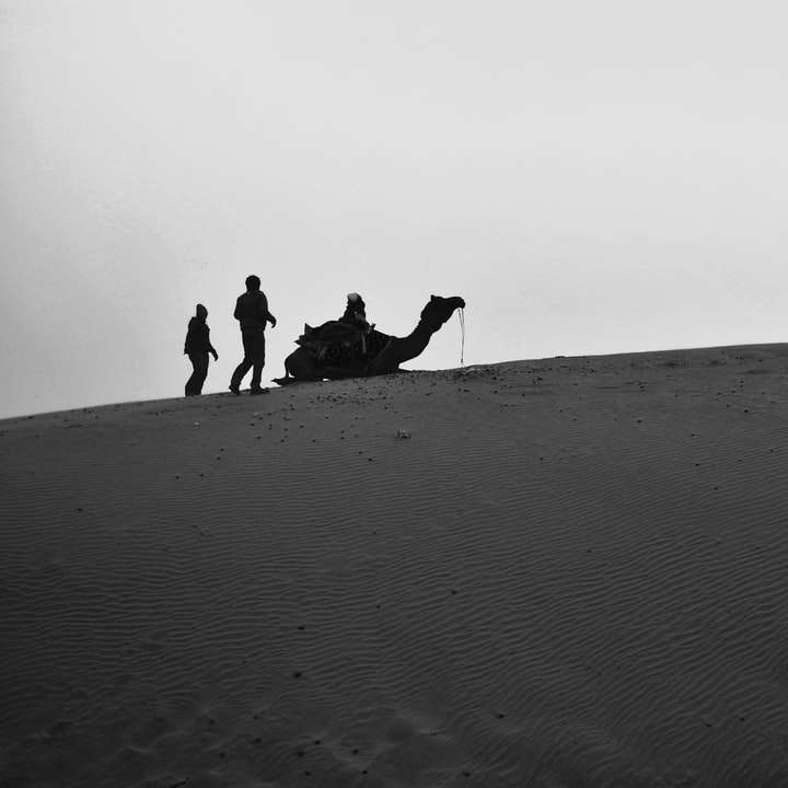 люди їздять на верблюдах в пустелі вдень онлайн пазл