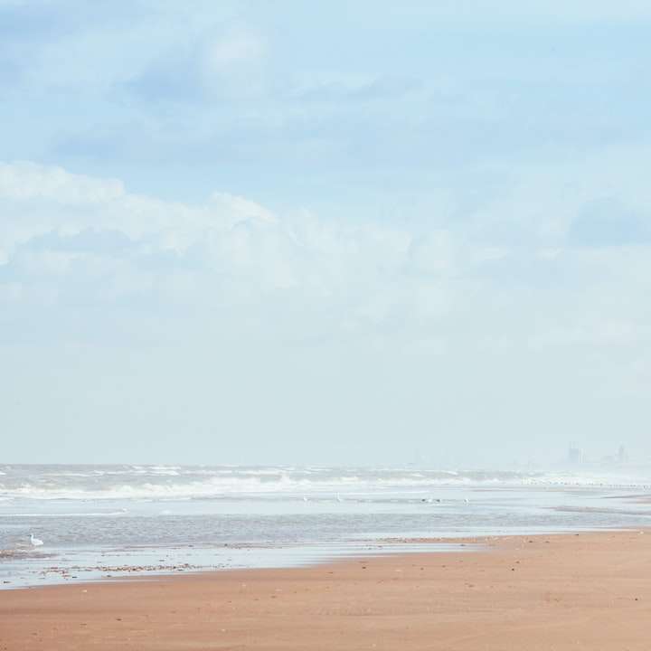 osoba spacerująca po plaży w ciągu dnia puzzle przesuwne online
