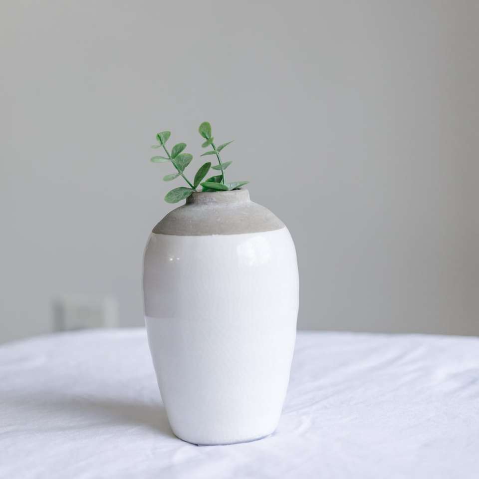 zelená rostlina v bílé keramické váze online puzzle