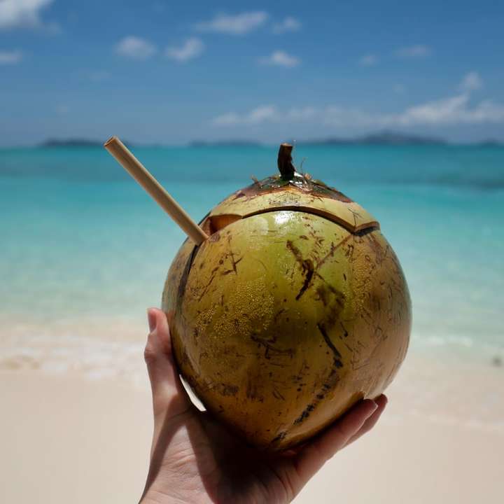 person som håller kokosnötfrukt under dagtid Pussel online