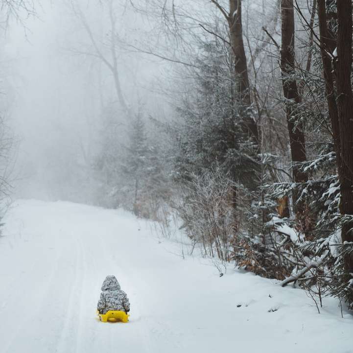 pessoa com jaqueta amarela e calça preta andando de trenó na neve puzzle deslizante online