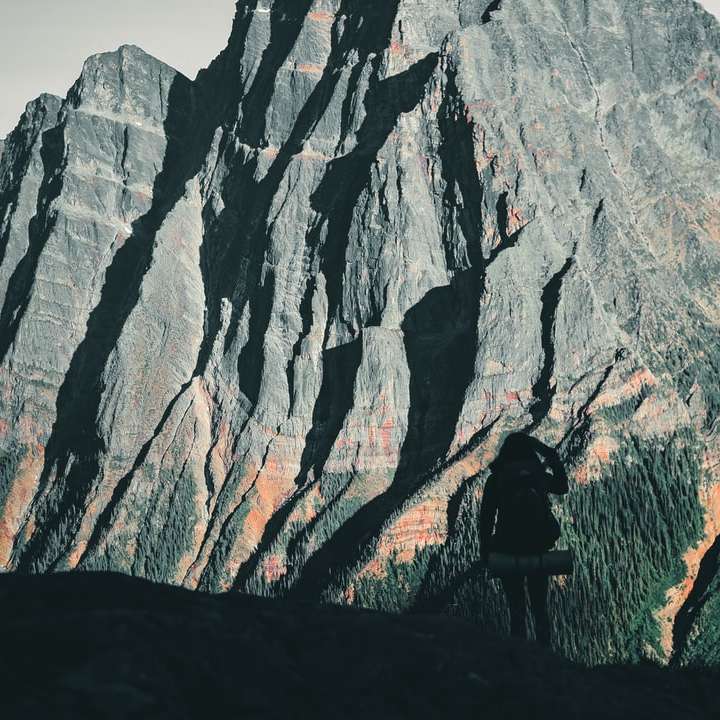 persona in piedi sull'erba verde vicino alla montagna rocciosa marrone puzzle online