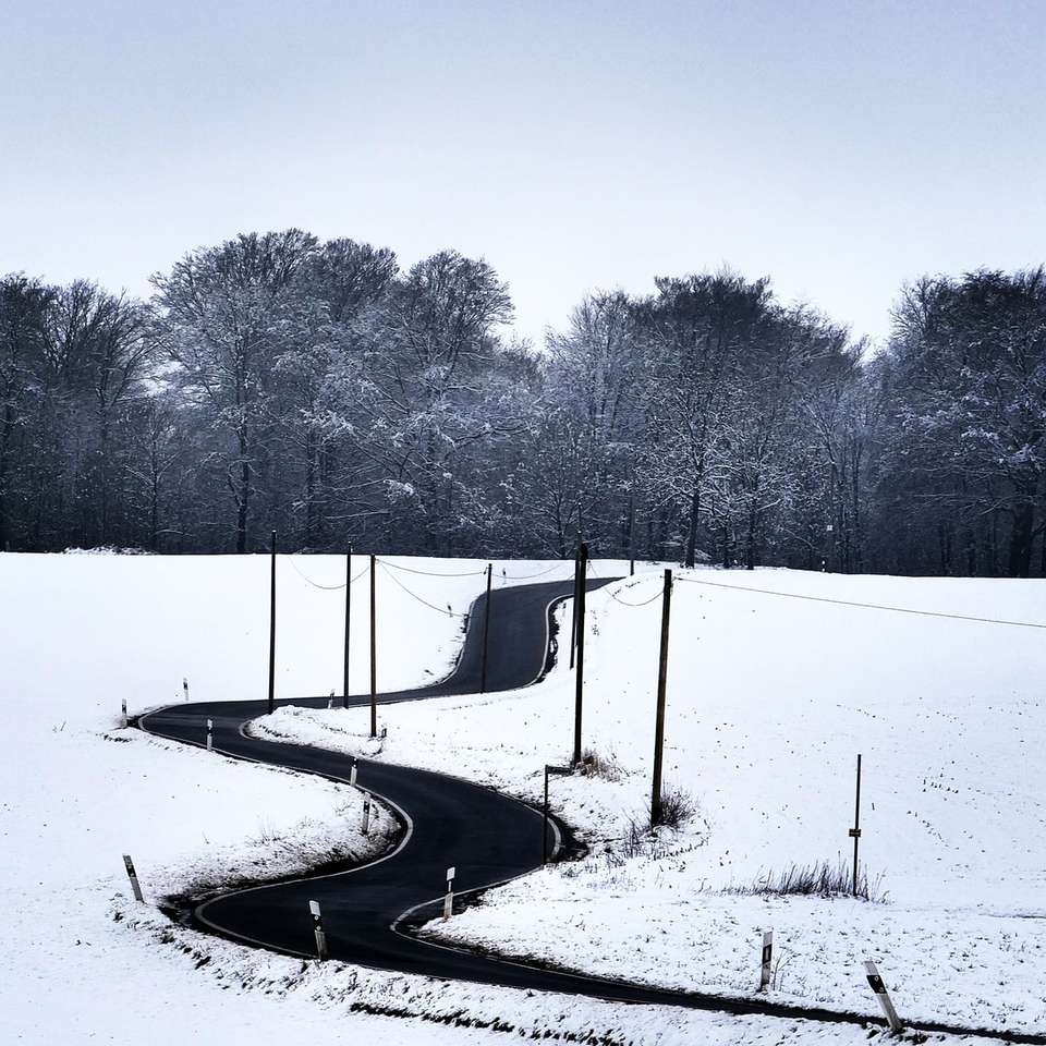 campo coperto di neve con alberi durante il giorno puzzle online