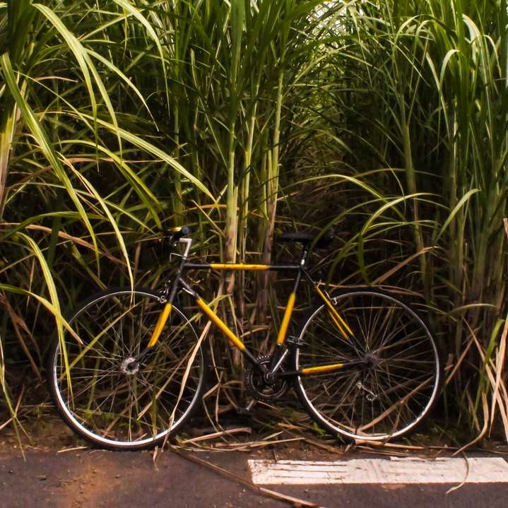 black bicycle parked beside green plant sliding puzzle online