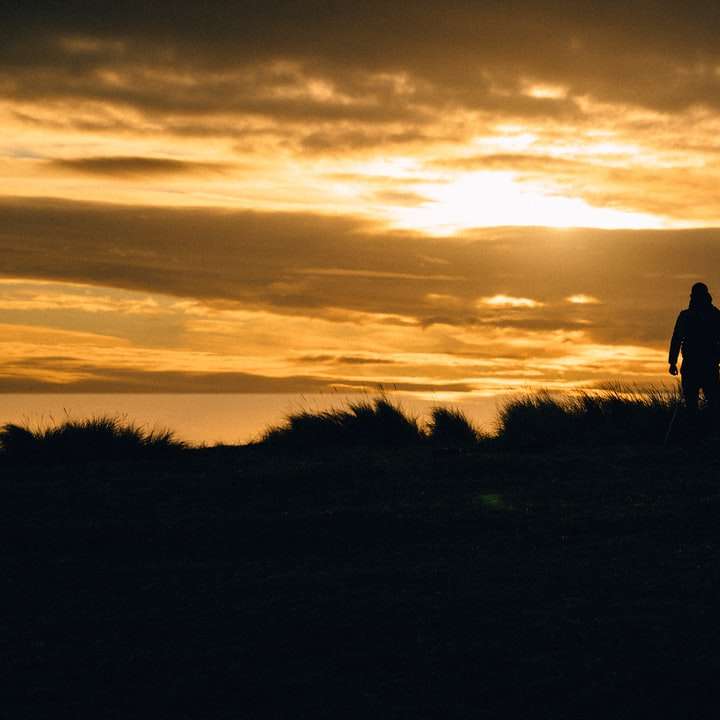 sylwetka człowieka stojącego na polu trawy podczas zachodu słońca puzzle online