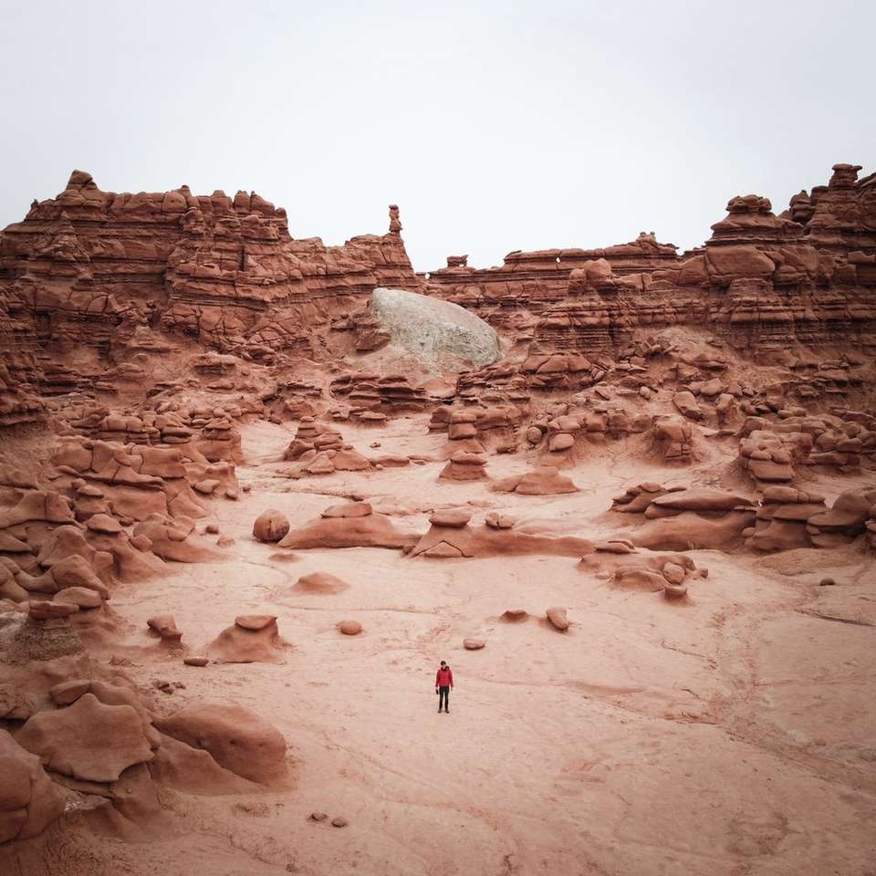 person i röd jacka som går på brun sand under dagtid Pussel online