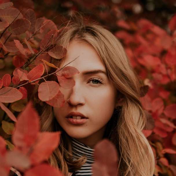 vrouw in rode bladeren overdag online puzzel