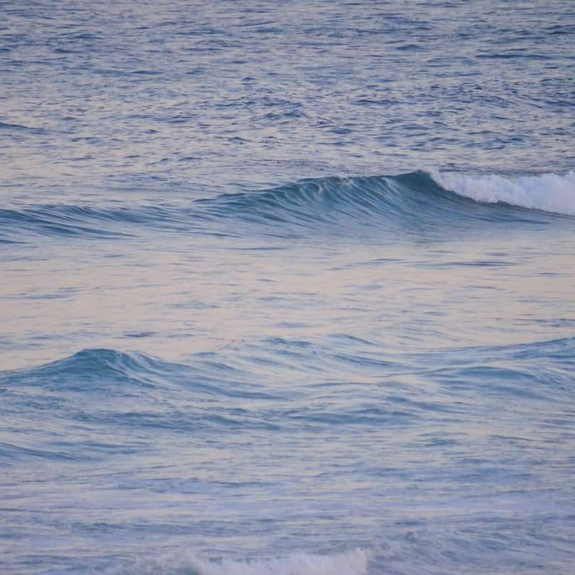 blå havsvatten under dagtid glidande pussel online