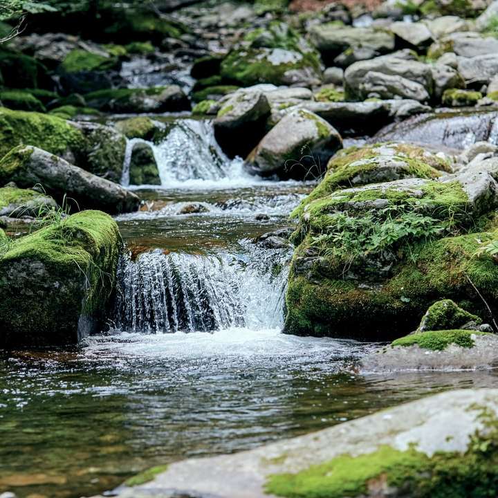 πράσινο βρύο σε γκρίζους βράχους στο ποτάμι συρόμενο παζλ online