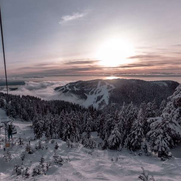 árvores cobertas de neve e montanhas durante o nascer do sol puzzle deslizante online