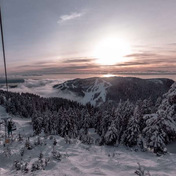 árboles cubiertos de nieve y montañas durante el amanecer puzzle deslizante online