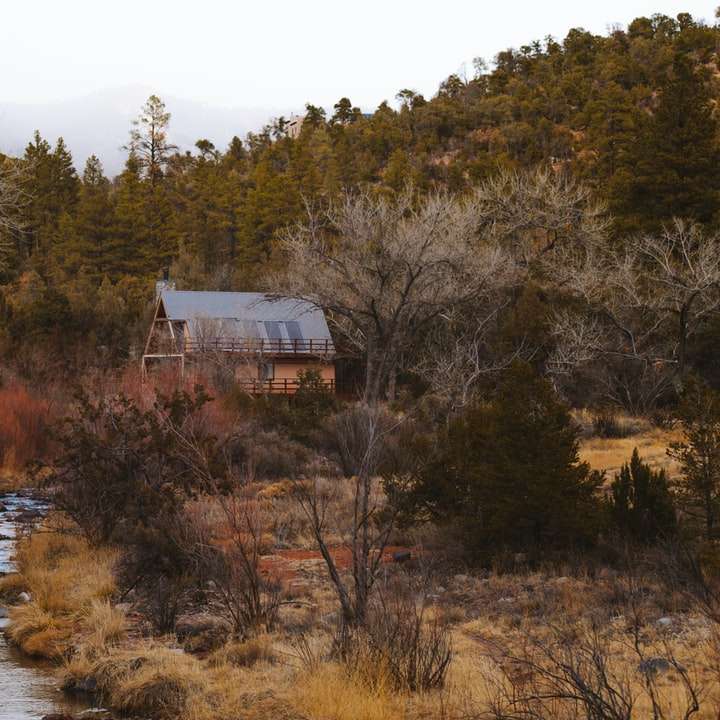 Casa marrón y blanca cerca del río rodeada de árboles. rompecabezas en línea