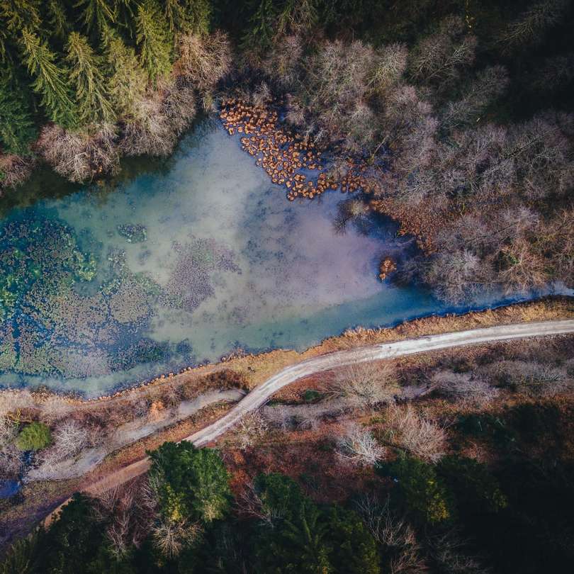 昼間の緑の木々と青い湖の空撮 オンラインパズル