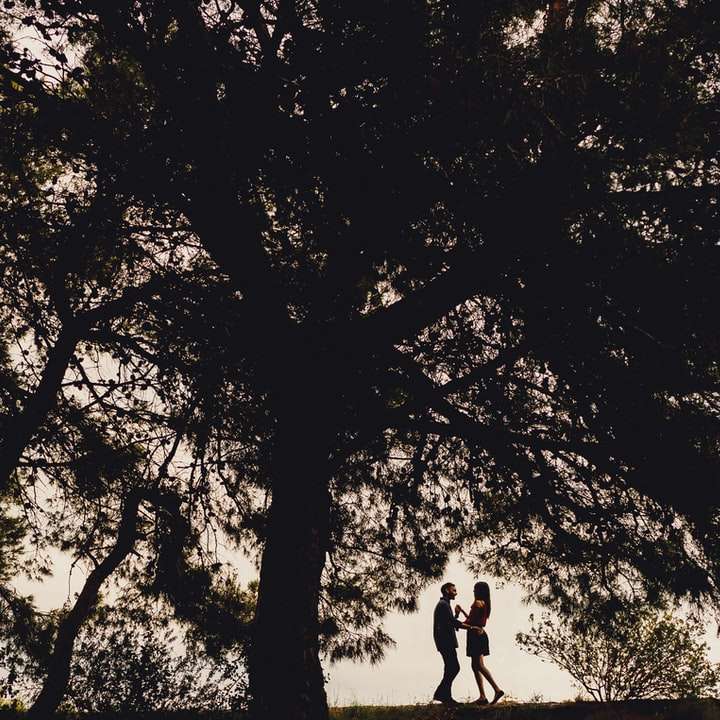 фото у відтінках сірого, на якому чоловік і жінка йдуть по доріжці розсувний пазл онлайн
